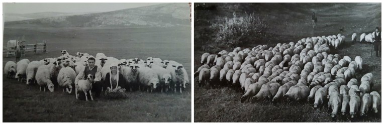 Pestersak i Pramenka