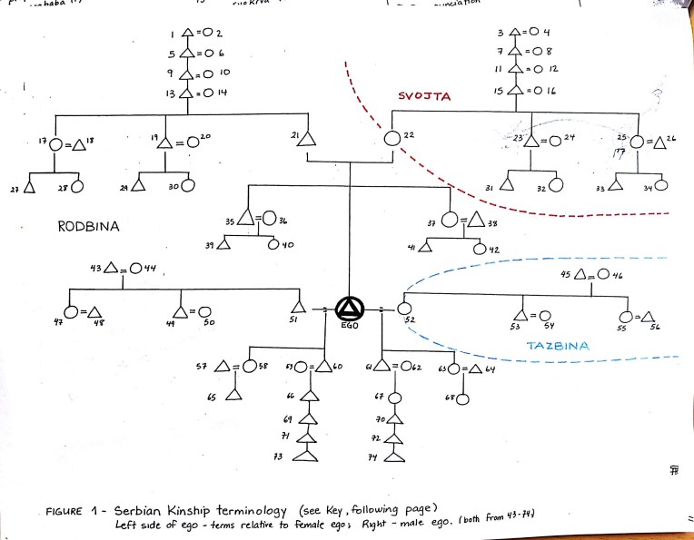 kinship-family-among-the-serbs_11