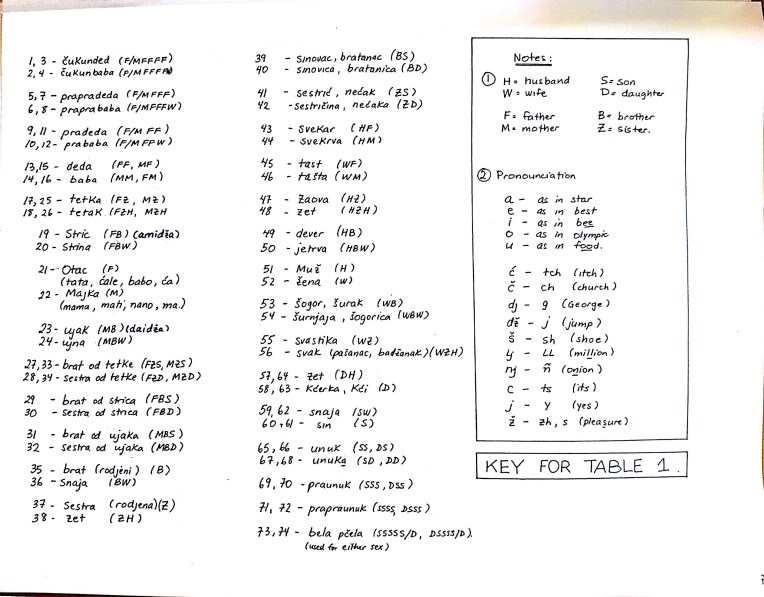 kinship-family-among-the-serbs_12