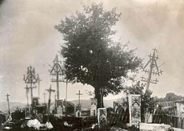 Selo Koracevac Predejane